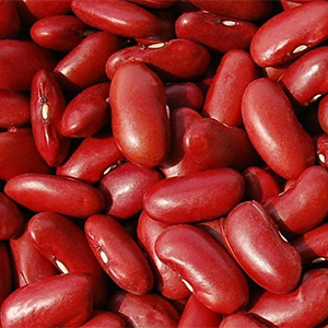 Dark Red Kidney